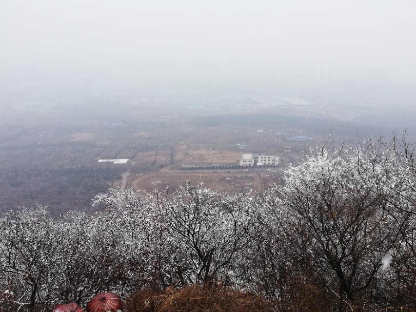 创业者有一天倒闭了怎么办,刚开始创业迷茫期如何度过