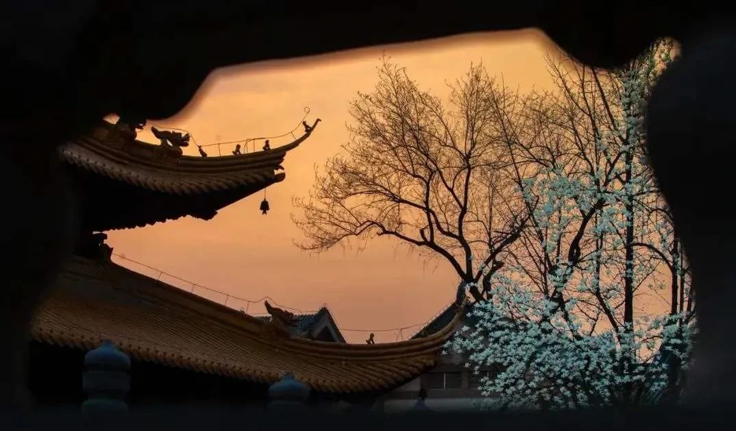 李来章简介,紫云书院与李来章