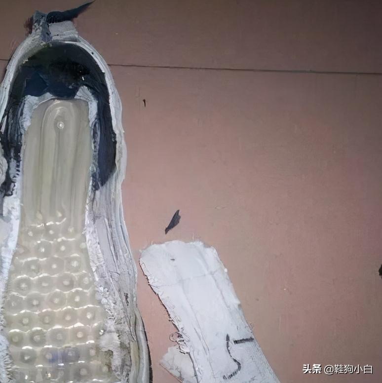 科普向未来知识内容,科普向未来的教学