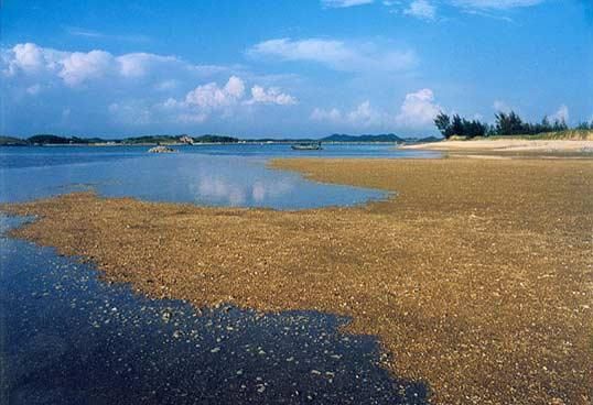 钦州麻蓝岛和情人岛哪个更好,钦州的旅游岛