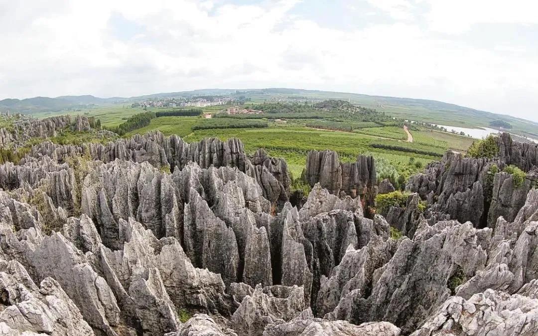 来看看那些云南元素满满的影视剧,这些让人难以忘怀的镜头