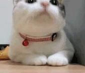 男生最讨厌的穿搭,最受欢迎的十种男生穿搭