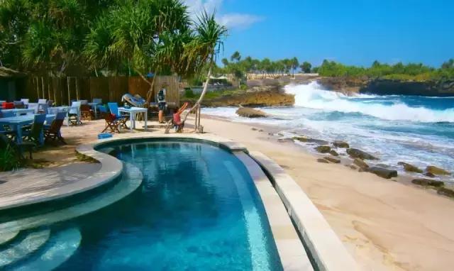 巴厘岛鸟园旅游攻略,大连至巴厘岛旅游自由行攻略