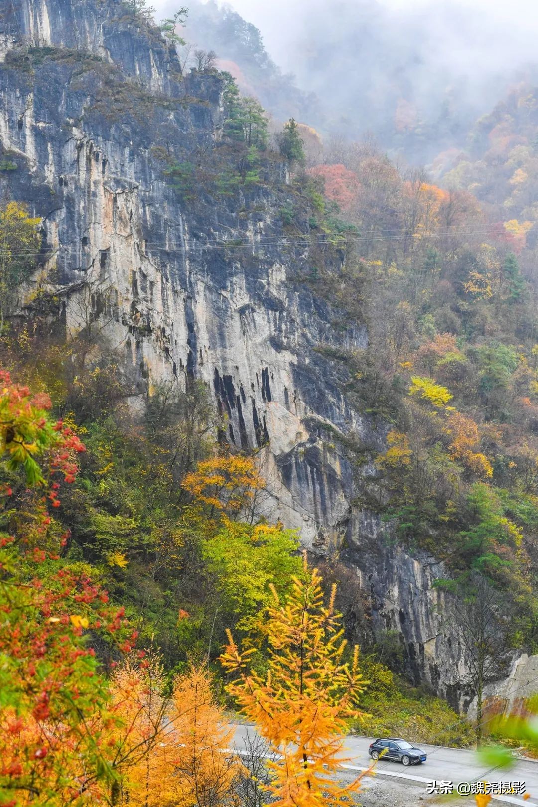 留坝秦岭之夜,留坝秦岭森林公园
