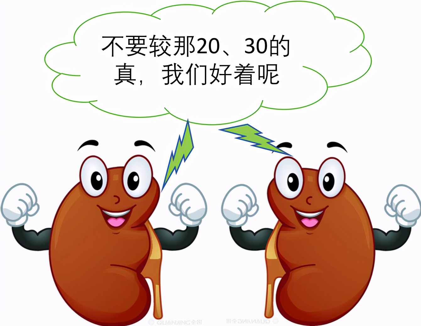 掌健识健康百科,肾脏肌酐指数