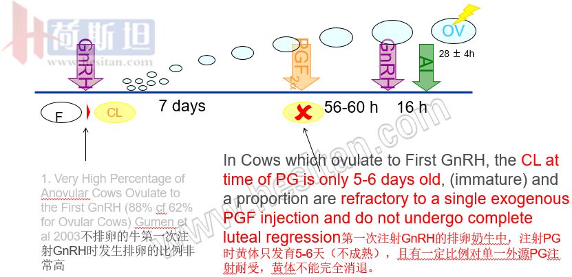 繁殖管理——使用双PG同期发情提高繁殖力