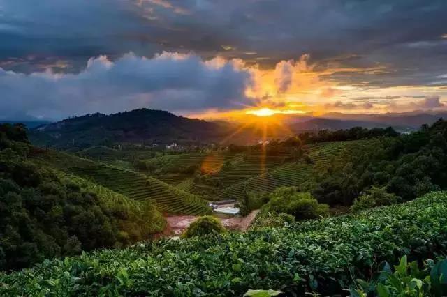 柏联酒店全国多少个,柏联酒店哪家最好