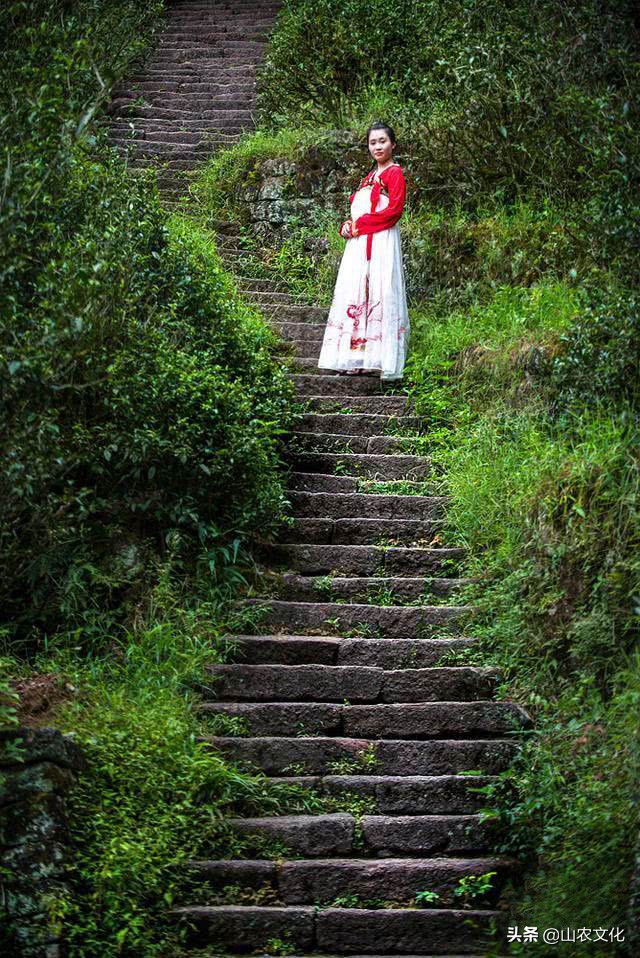 武夷山最有名的大红袍茶,武夷山大红袍正宗茶有多少钱一斤