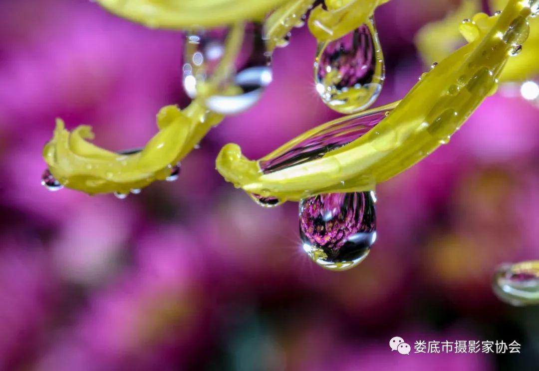 最新风景摄影小品欣赏,娄底景观小品