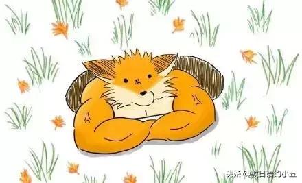 日本的一只“肌肉柴犬”火了，竟然还出了手办？！