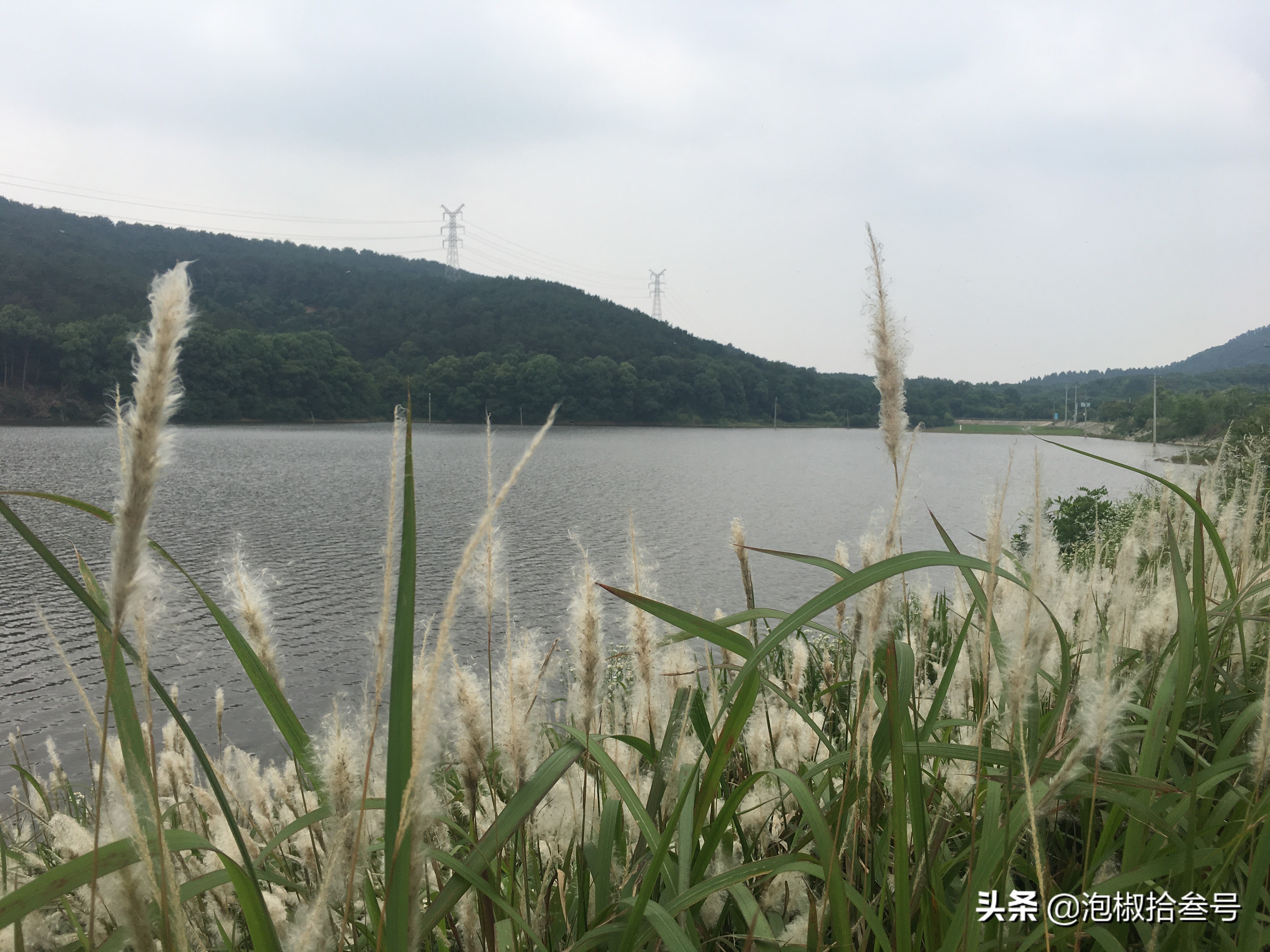 武汉江夏区纸坊有什么好玩的地方,武汉江夏纸坊是哪