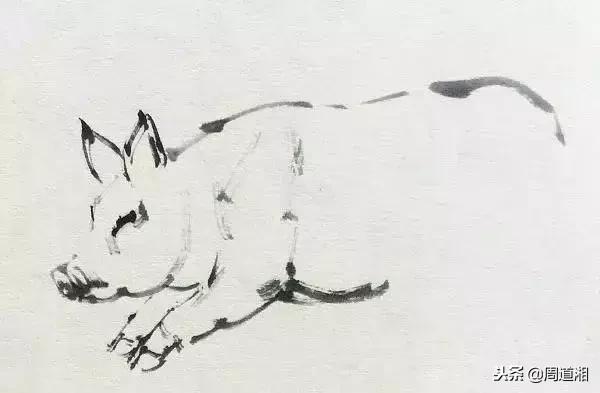 国画工笔猪图片,大写意画猪国画作品