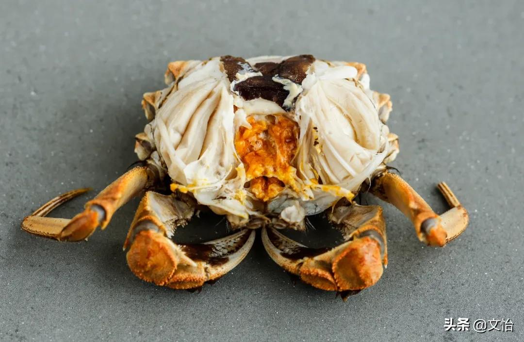 海蟹和河蟹有什么区别哪个鲜,科普河蟹和海蟹的区别