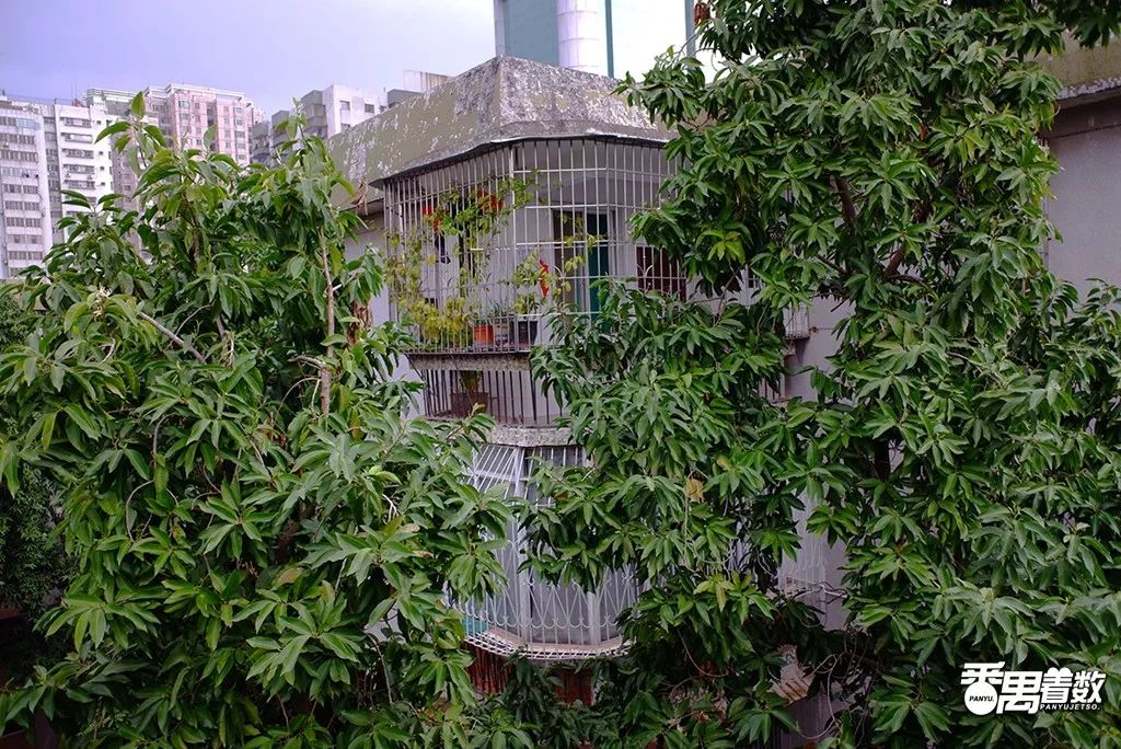 在番禺居住怎么样,在广州番禺哪里住得舒服