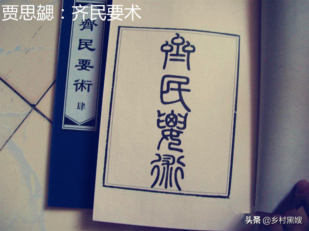 芋头来自哪里,芋头源头