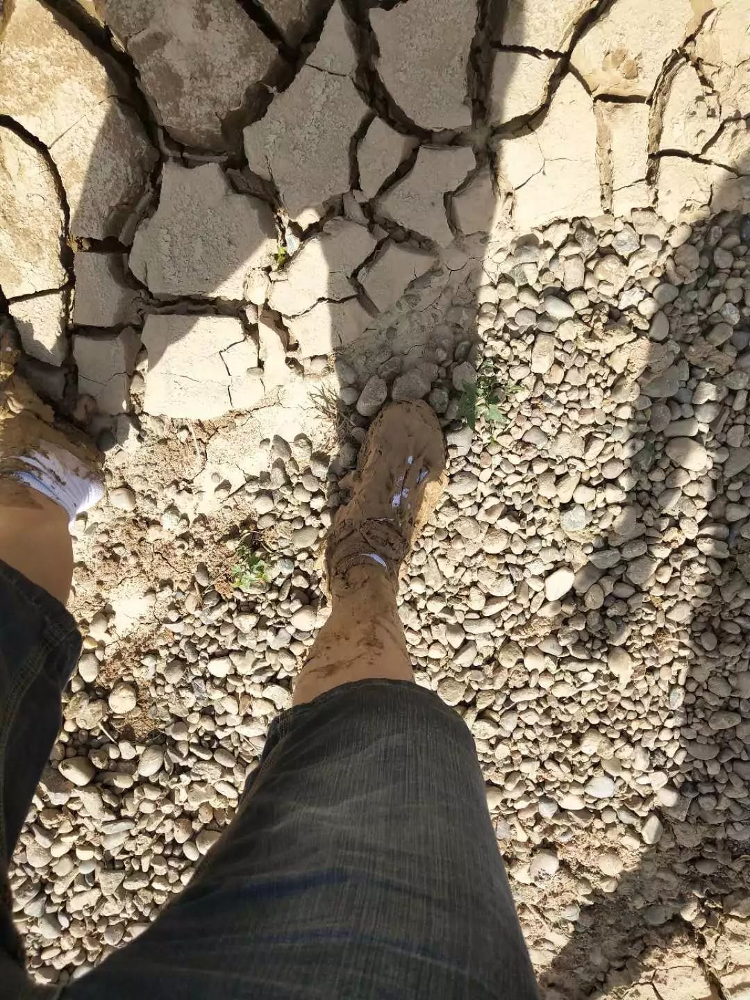 碧桂园扶贫行记崇礼视频,碧桂园扶贫工作日记