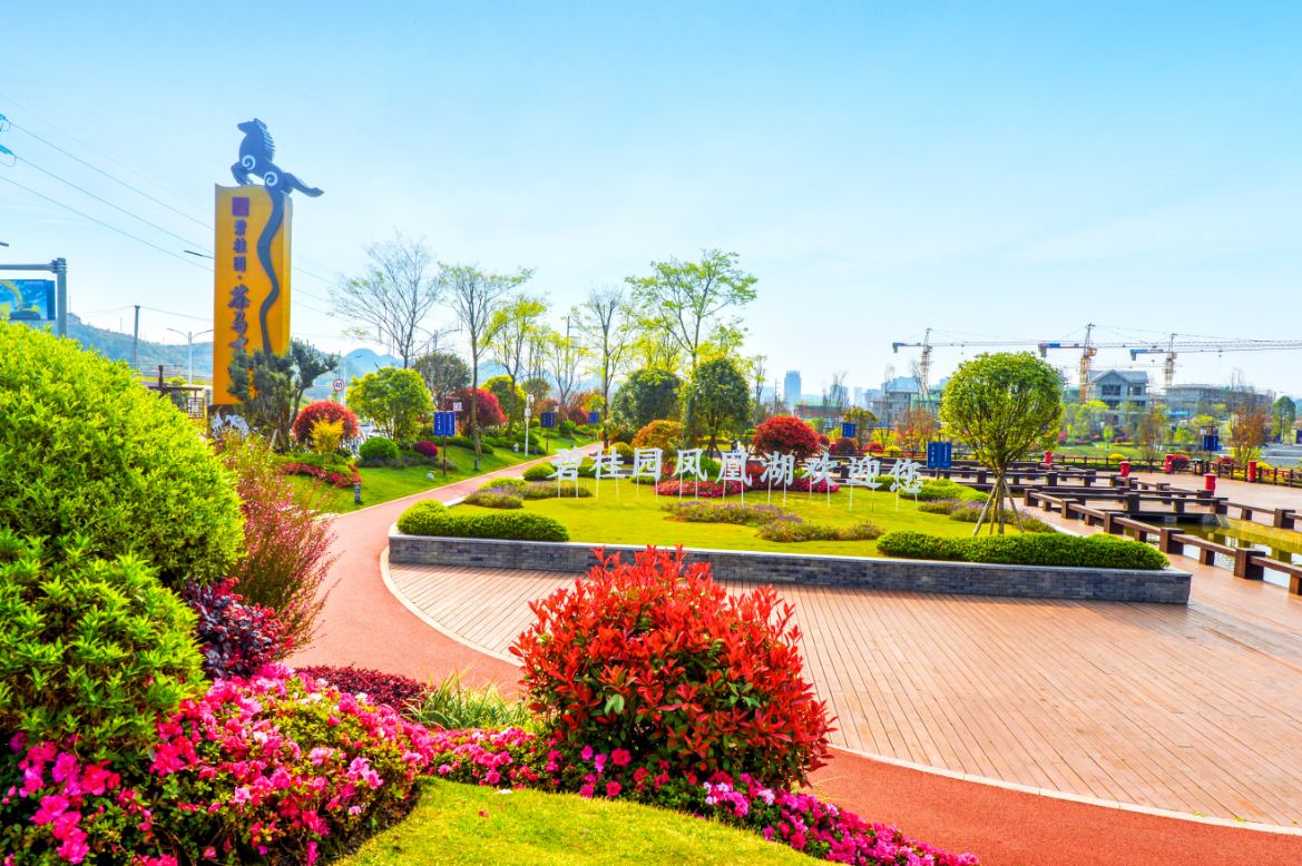 碧桂园喜讯,碧桂园茶马古镇小学