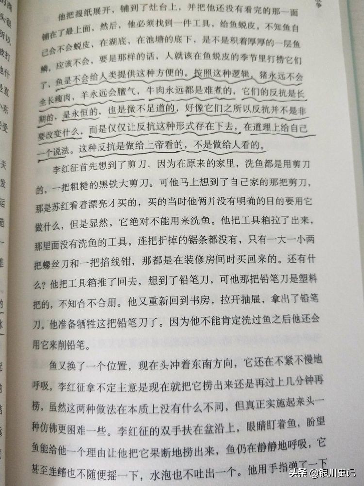 舒梦:老同学金瓯小说集《一条鱼的战争》让我重温走过的岁月