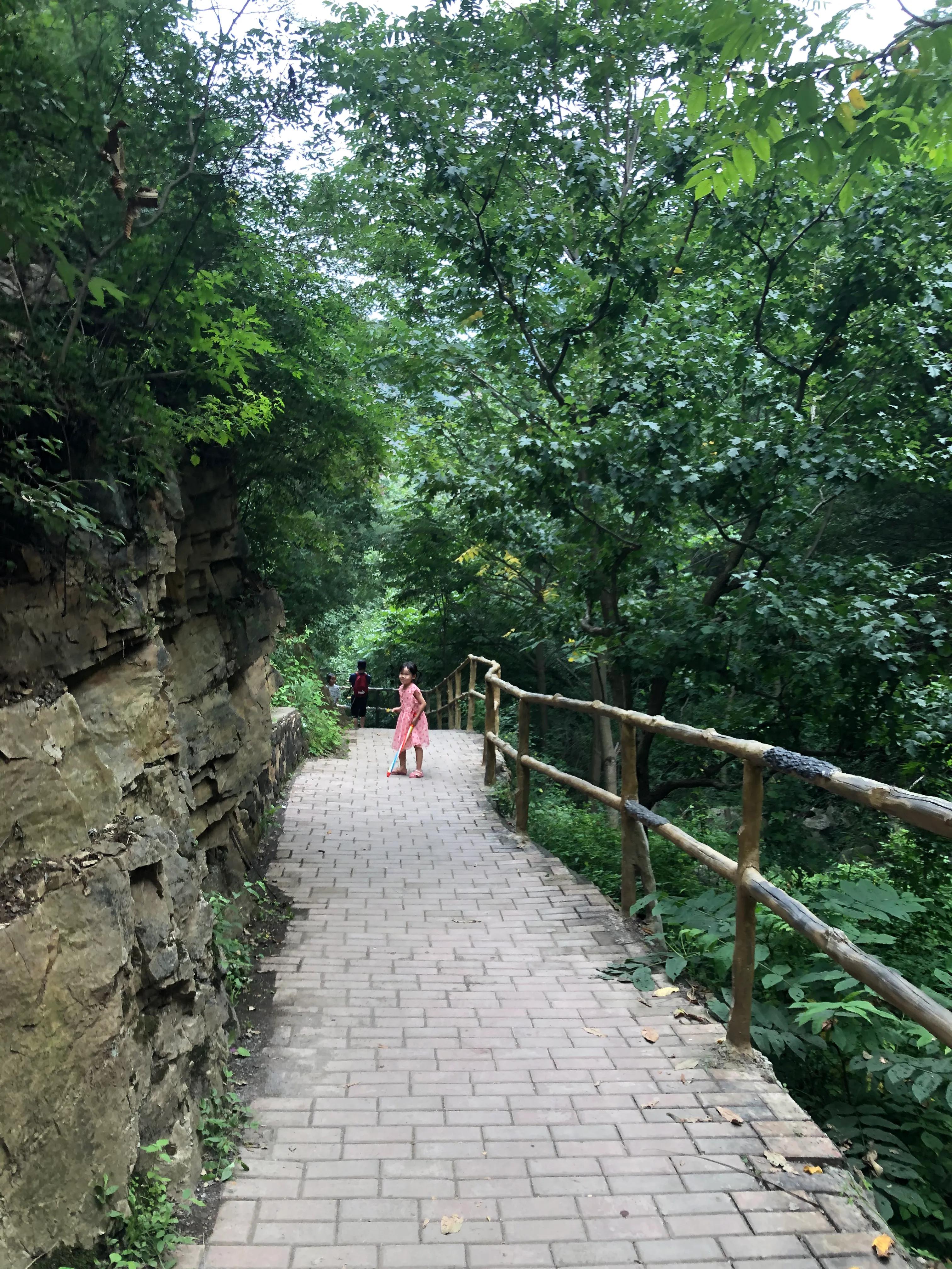 九龙潭夜景旅游攻略,国庆九龙潭攻略