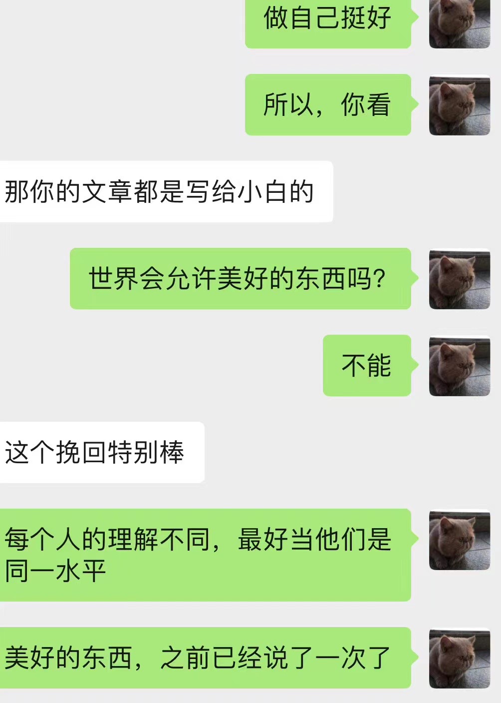 q蒂有几种口味,唯有热爱方可抵御岁月漫长