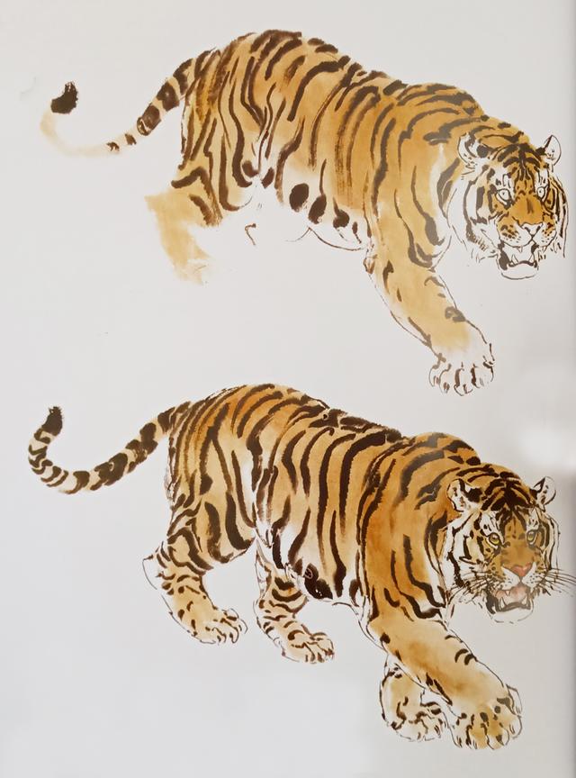 写意虎的画法教学视频,国画如何画虎教程图片大全