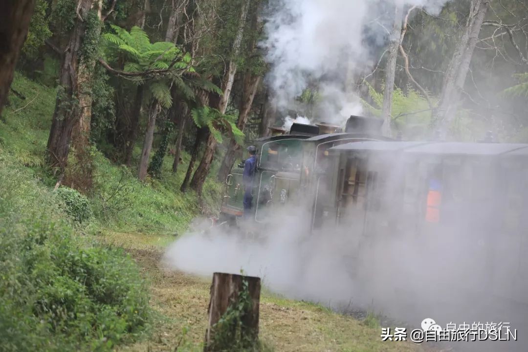 土澳,土澳新闻视频