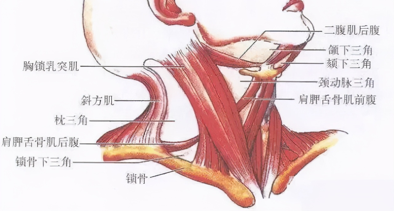 改善太阳穴脸颊凹陷的修容,改善太阳穴凹陷的面部动作
