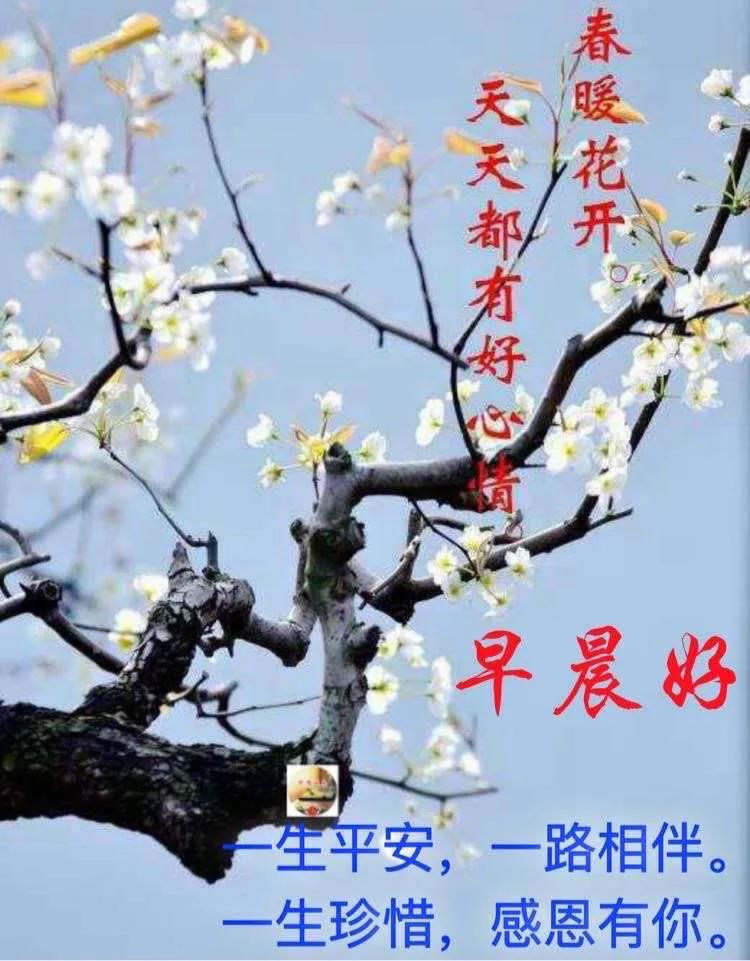 适合发朋友圈早安的唯美图片,暖心早安祝福唯美图片带字