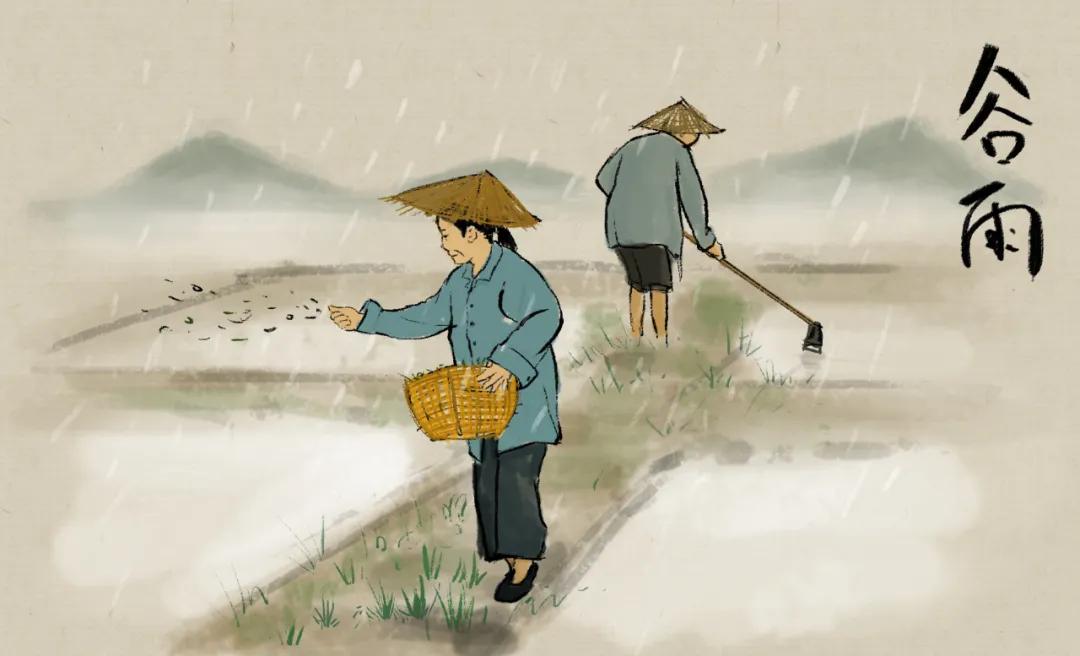 谷雨养生牢记健脾养肝的三个秘诀,春季养肝祛湿最佳方法图片