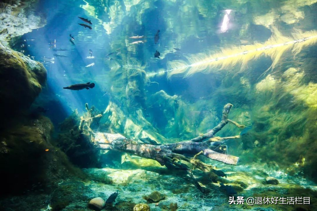 珠海浪漫出行,珠海很浪漫的城市