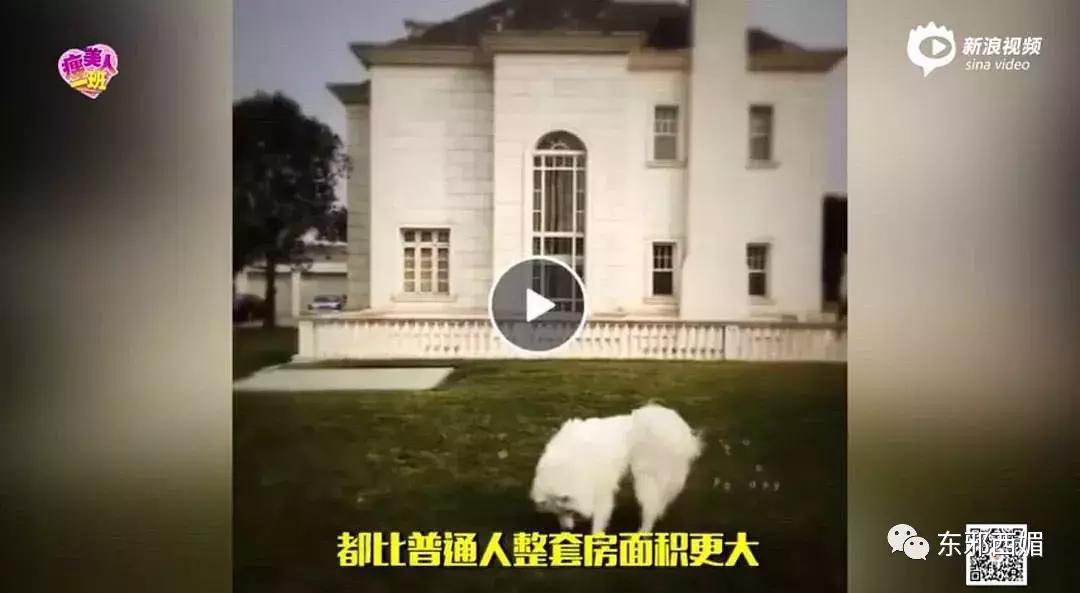 敢爱不敢认？我更关心一百万的包三亿的别墅和歌帝梵做的脏脏包