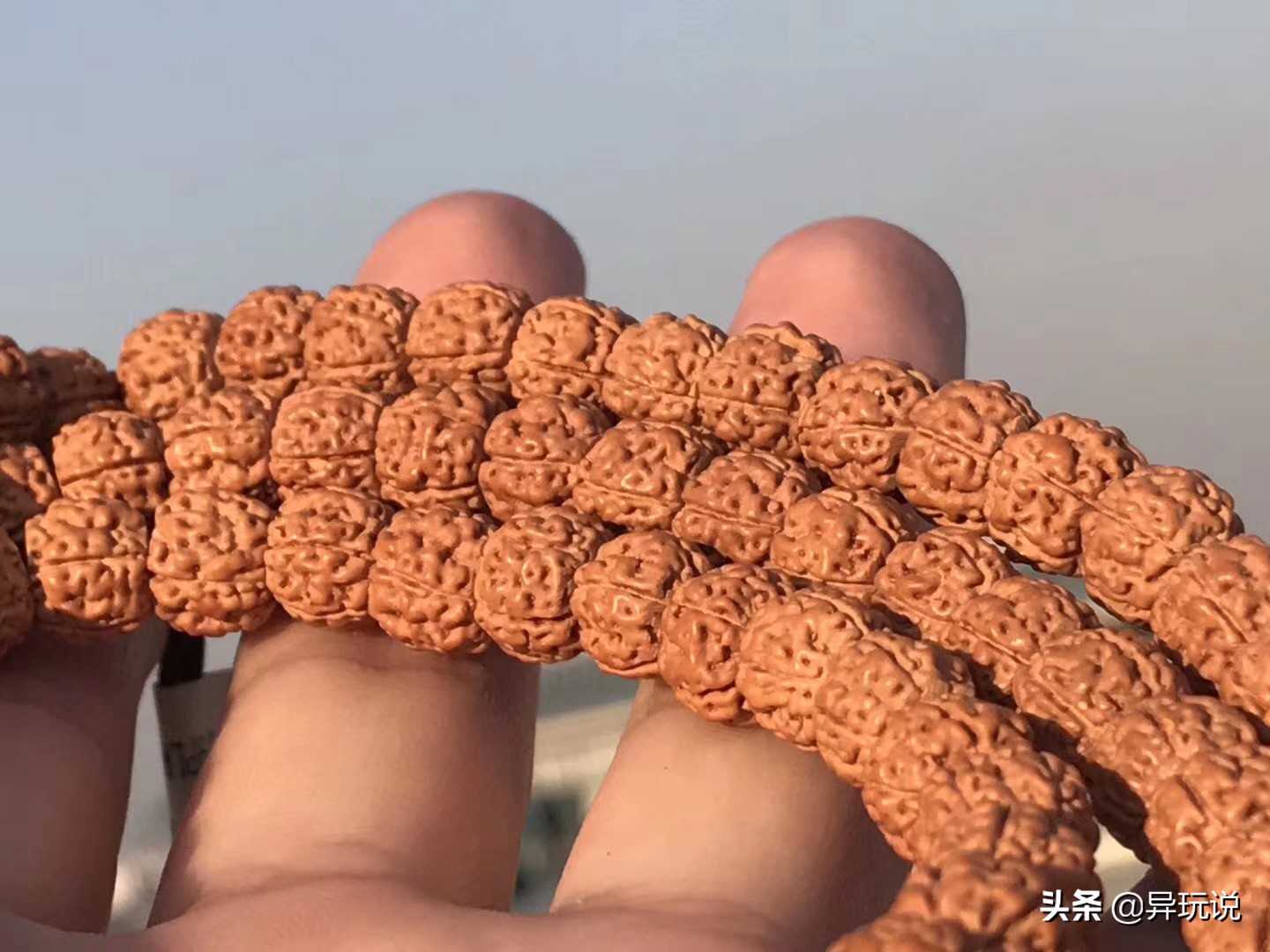 新手推荐什么金刚,骨灰级玩家技巧