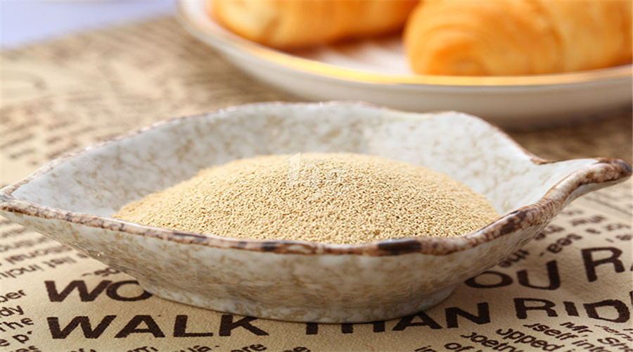 做包子发面原料,包子的配方及发酵过程