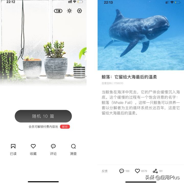 5个让自己偷偷成长的App,送给爱学习的你