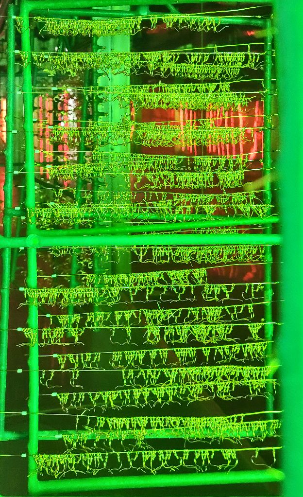 青岛天元工艺品有限公司,青岛瑞祥工艺品有限公司