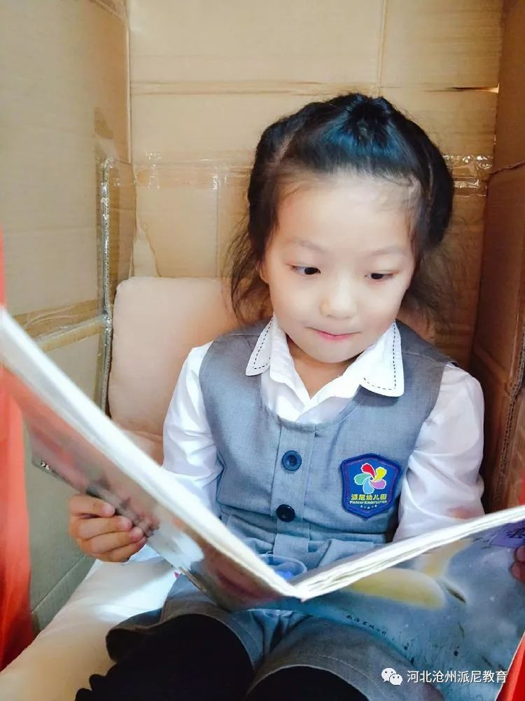 身体大揭秘动画,身体大揭秘