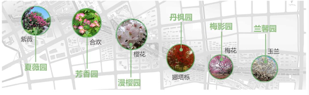 钱塘江滨水绿廊,滨江区钱塘江景观