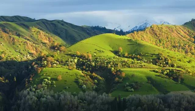 国家认证！*疆新**又一城市成为“中国天然氧吧”，大自然“空调房”就在……