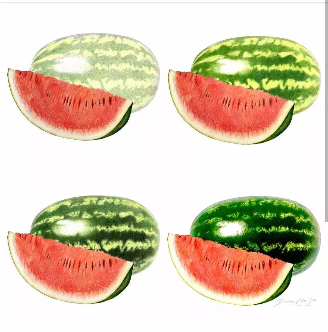 画得比实物好看,彩铅怎么样能画好看