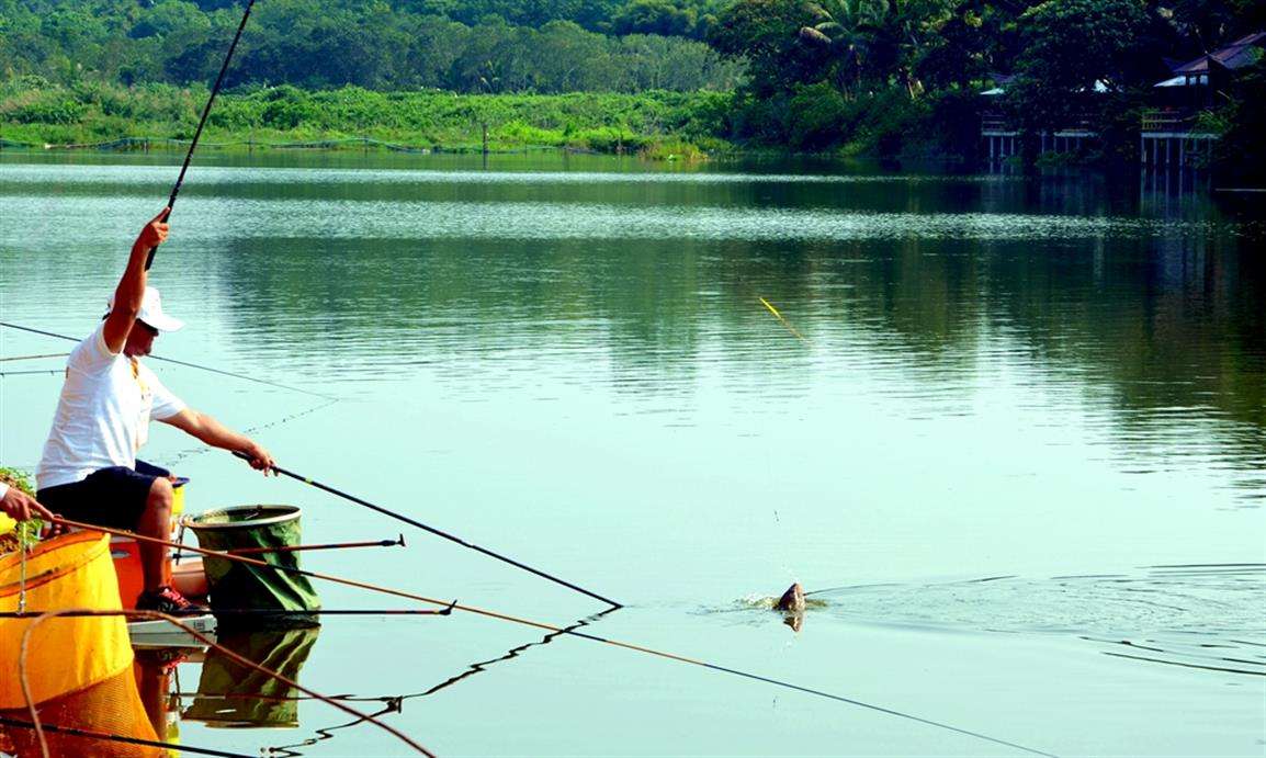 钓鱼多年以后,钓鱼几年的感悟