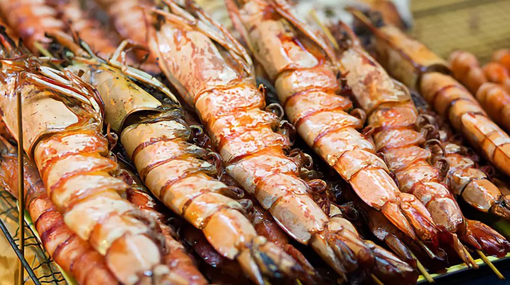 去马尔代夫玩哪个岛最值得推荐,去哪里旅游马尔代夫划算