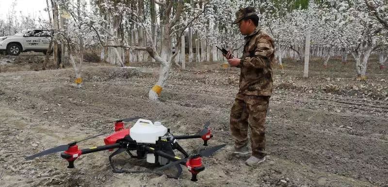 你买的可能是“山寨梨”,无人机授粉解决库尔勒梨农难题