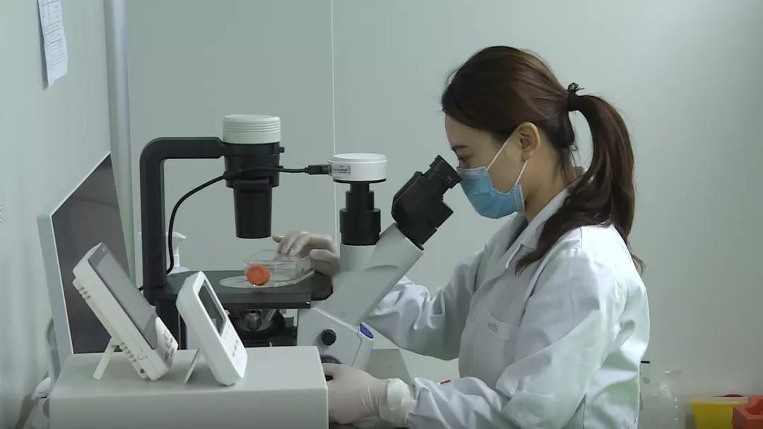 北京科技大学大兴研究院揭牌首都干细胞公共平台花落大兴！