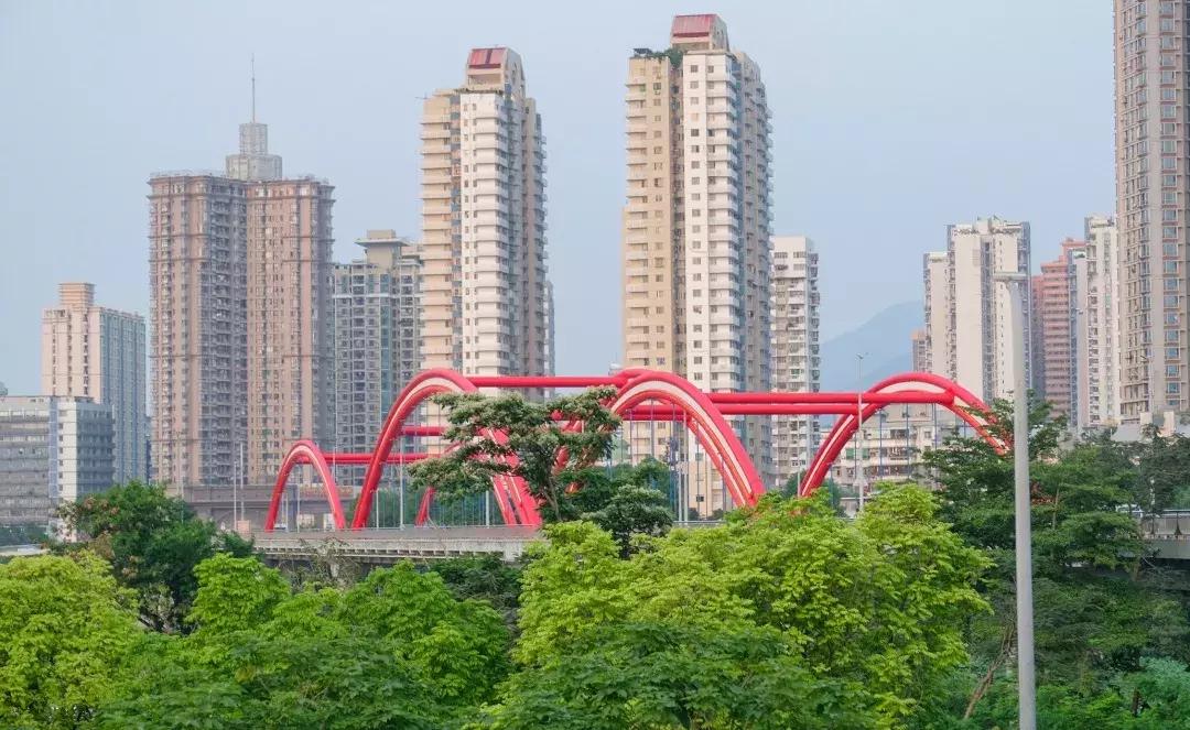 笋岗，不说再见！