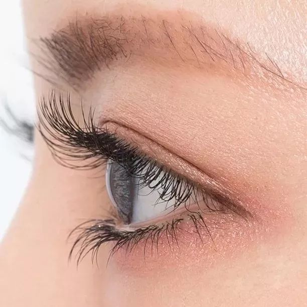 sfe上海国际连锁加盟展怎么购票,sfe上海国际加盟展在哪个馆