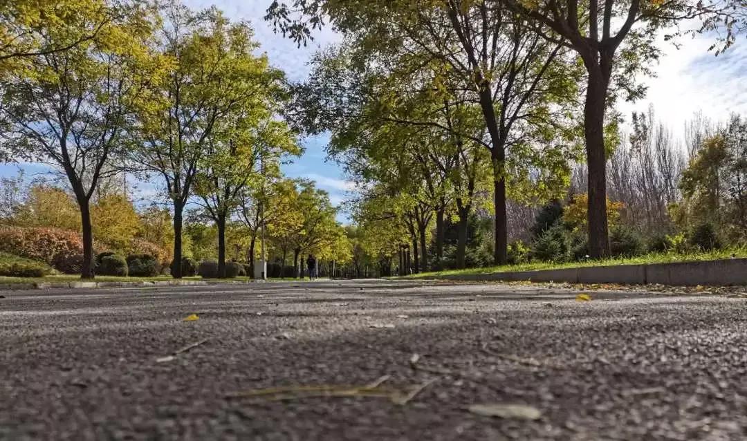 沈阳理工大学辽宁工程技术大学,沈阳理工大学专科院校