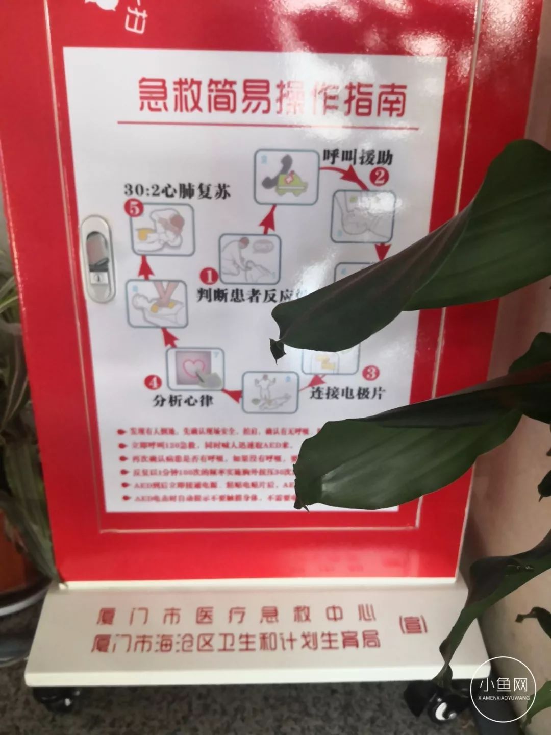 AED入厦三年，90%的厦门人不知，救命神器竟成“摆设”？