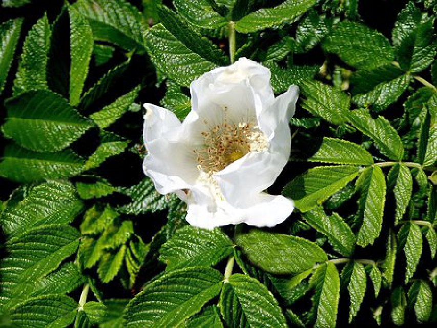 精辟人生感悟经典句子,经典语录精辟的短句人生感悟