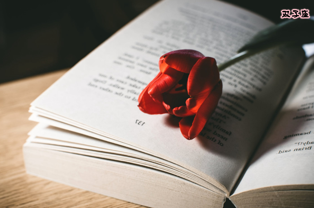 比谁都看得透彻的几大星座,深藏不露三大星座往往一鸣惊人