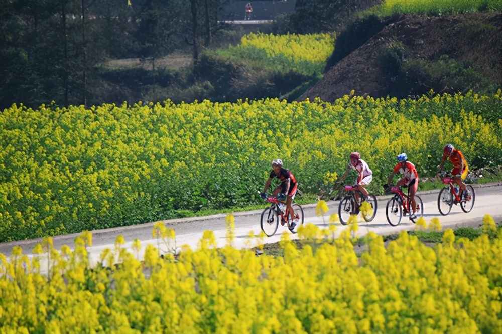 十年磨一剑上王者,十年磨一剑出山